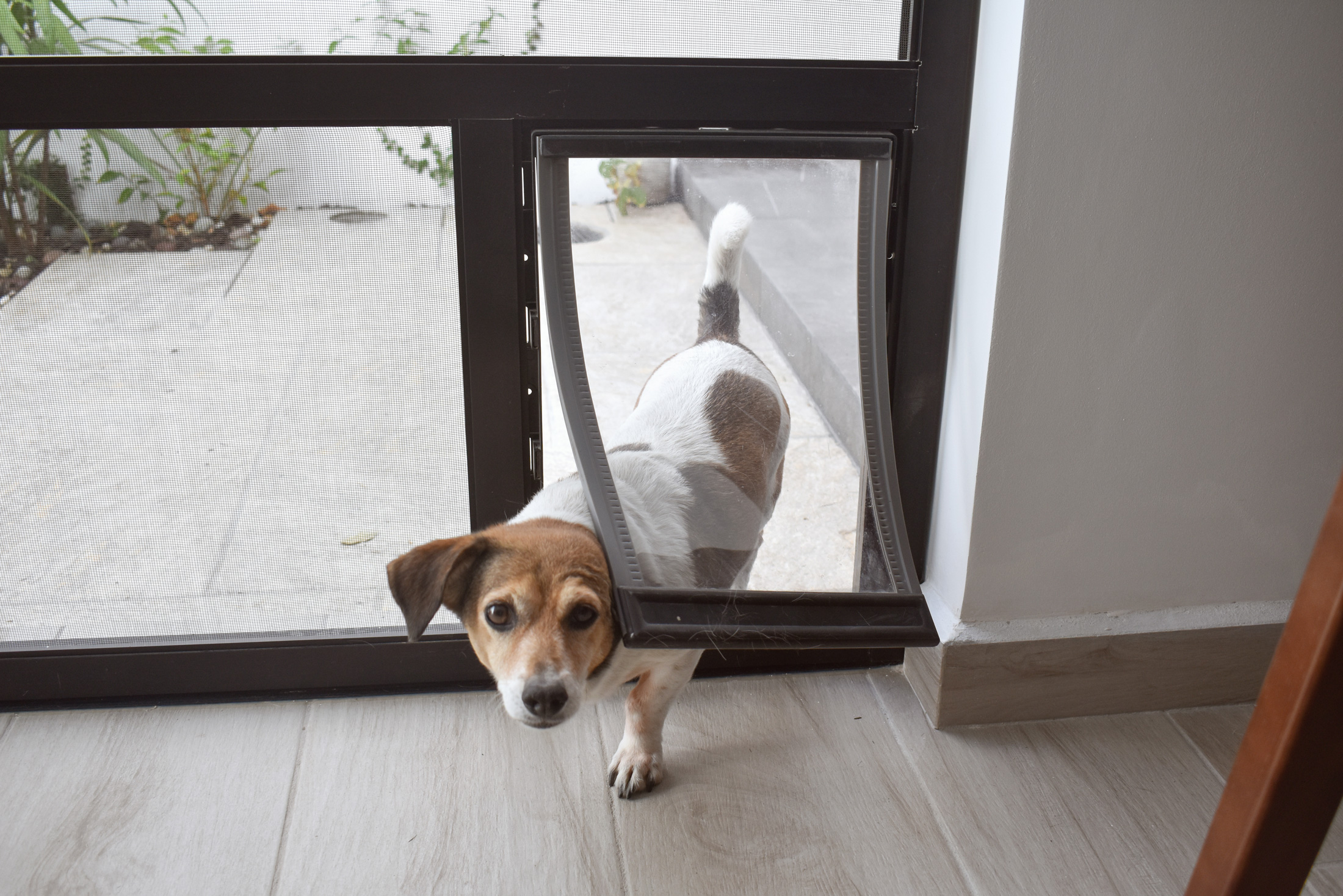 hervey-bay-pet-doors